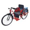 Battery Operated Tricycle - ISI Mark Certified Manufacturers, Suppliers in Jorhat